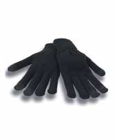 Touchscreen handschoenen zwart voor volwassenen 10131292